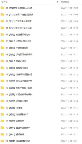 图片[2]-淘系天猫电商业绩增长：已培养上千位卖家实现100W+利润（700节30G课程）-子萱副业