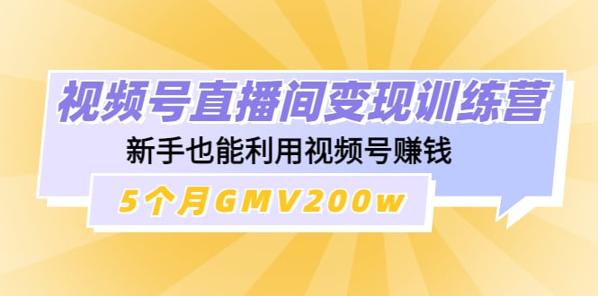 视频号直播间变现训练营：新手也能利用视频号赚钱，5个月GMV200w