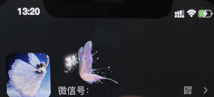 微信动态昵称设置方法,可抖音直播引流,日赚上百【详细视频教程 素材】