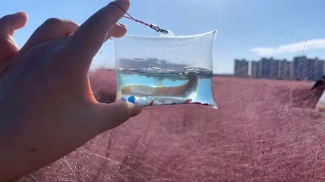 最近抖音很火的泡泡鱼手工小成本地摊创业项目,日賺500 项目课程解析