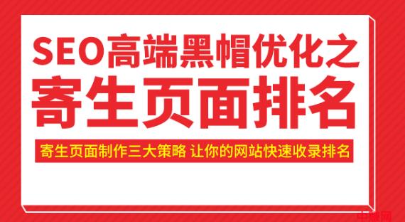 SEO高端黑帽优化之寄生页面排名，制作策略+快速收录排名（视频课）