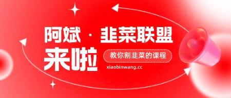 阿斌·韭菜联盟 一个教你割韭菜的课程-第1张图片-小彬网