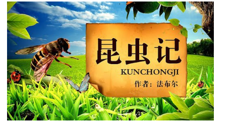 1741190108677163.png image.png