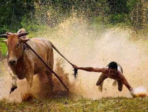 1751378439930980.png image.png