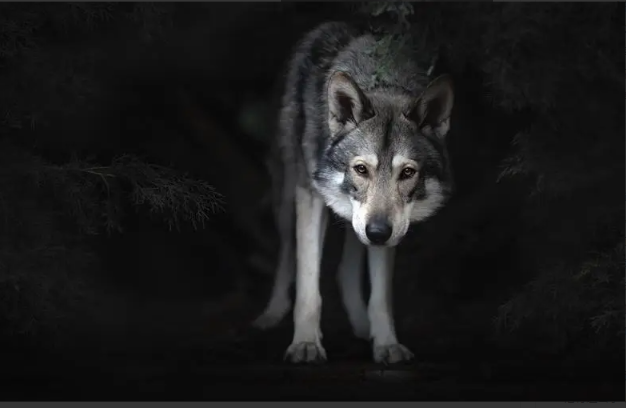 1753971877968987.png image.png