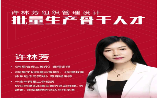 许林芳《批量生产骨干人才》组织管理设计