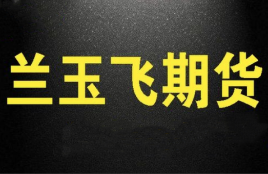 兰玉飞三节课学会期货趋势交易系统视频课程