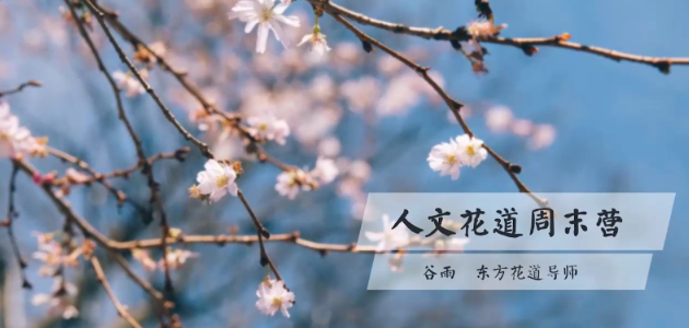 谷雨老师《人文花道美学营》插花教程