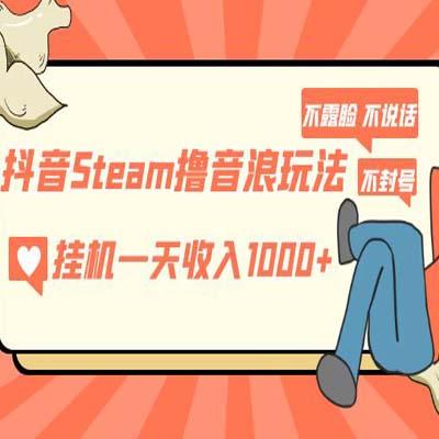 抖音Steam撸音浪玩法 挂机一天收入1000+不露脸 不说话 不封号 社恐人群福音