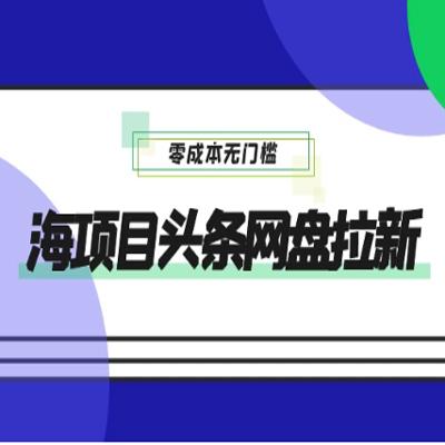 蓝海项目头条网盘拉新，日入 500+，零成本无门槛，多种玩法，放大引流