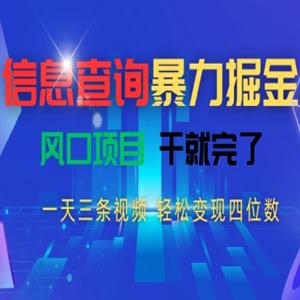 信息查询暴力掘金，一天三条视频，轻松变现四位数，风口项目干就完了