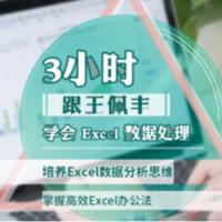 王佩丰《3小时学会Excel数据处理》