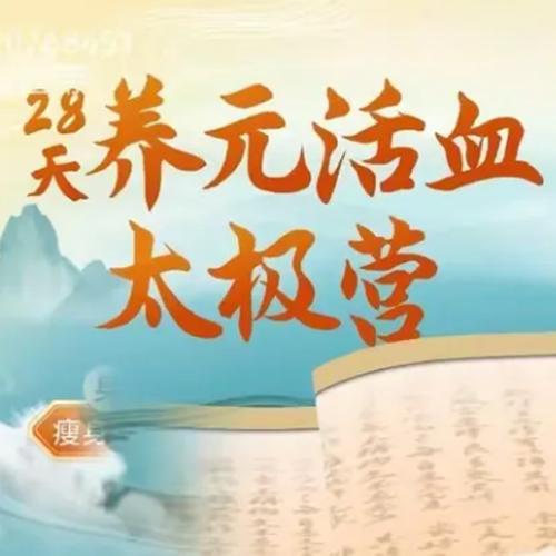 28天养元活血太极营 (2024全面升级版)