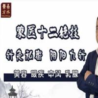 张洪瑞 蒙医十二绝技特训营 完整视频+讲义