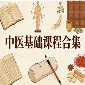 中医基础课程合集
