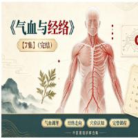 中医课程《气血与经络》【7集】(完结)