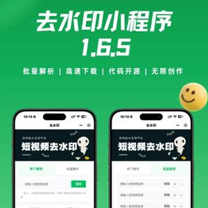 去水印小程序视频提取小程序源码支持二次开发流量主源码小程