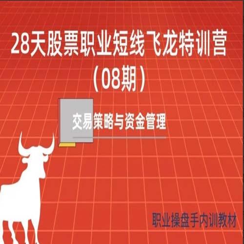 天智一飞《28天股票职业短线飞龙特训营08期》一飞金融