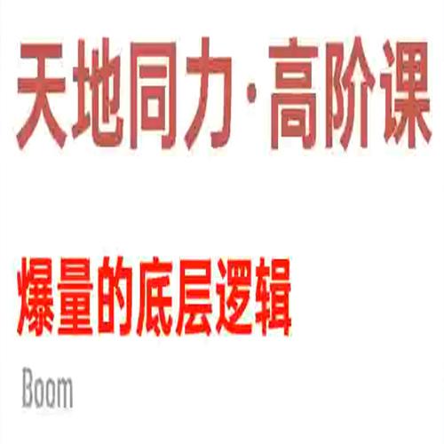 天地同力操盘体系2024年1109基础课+高阶课