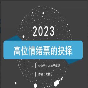 大柚子笔记柚子炒股系统课程