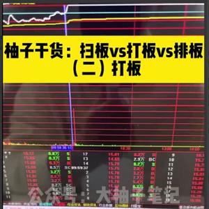 大柚子笔记大柚子 精选干货视频课程