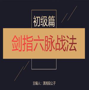 「潇湘段公子」2023年崔一帆 潇湘段公子系统课视频+剑指六脉战法资料 34个视频