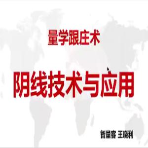 量学云讲堂智量客王晓利 量学波段操盘系统 第15期+第三段位课量学跟庄