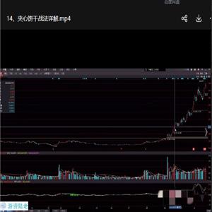短线实战股票视频课程 19课