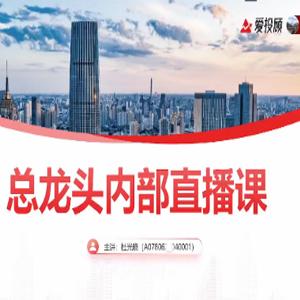【总龙头战法 杜光晓】2024年圈内教学