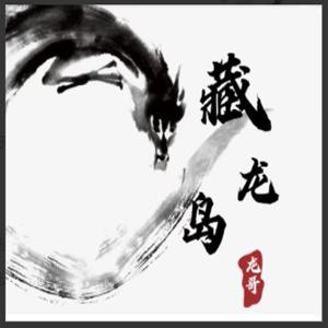 游资混江龙/炼金士 2026年1月起游资训练营 龙哥藏龙岛 视频+课件