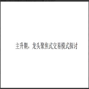 看懂龙头股复盘哥 主升期，龙头聚焦式交易模式探讨文章 PDF课件