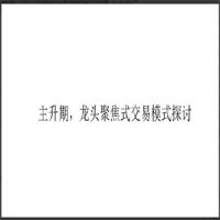 看懂龙头股复盘哥 主升期，龙头聚焦式交易模式探讨文章 PDF课件