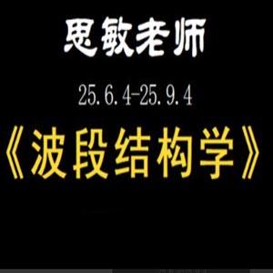 余思敏波段结构学复盘小班课