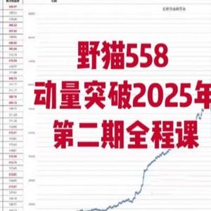 野猫558动量突破2025年第二期全程课