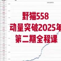 野猫558动量突破2025年第二期全程课