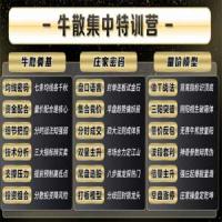 2025年袁博牛散特训营视频+资料+指标