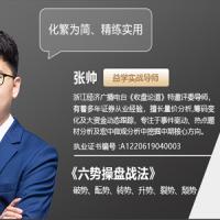 2026张帅六势操盘长虹有道技术课+盘后解盘视频