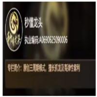 秒懂龙头20260627直播视频 视频 1集