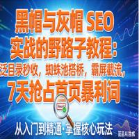 黑帽与灰帽 SEO 实战的野路子教程：泛目录秒收，蜘蛛池搭桥，霸屏截流，7 天抢占首页暴利词