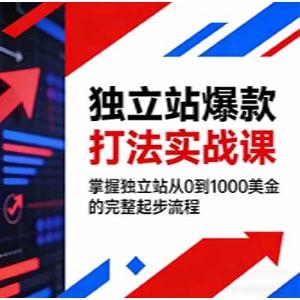 独立站爆款打法实战课，掌握独立站从0到1000美金的完整起步流程