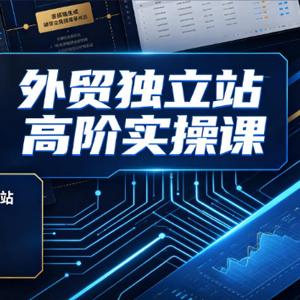 外贸独立站高阶实操课｜从域名服务器搭建到Elementor定制化建站，打造高转化询盘型独立站全教程