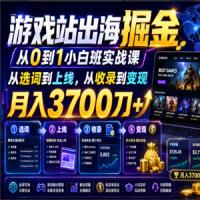 游戏站出海掘金从0到1小白实战课，从选词到上线，从收录到变现，月入3700刀+（更新）