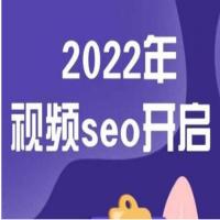 墨子学院2022年抖音seo关键词排名优化技术，三天学活抖音seo