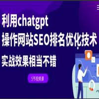 利用chatgpt操作网站SEO排名优化技术：实战效果相当不错（5节视频课）