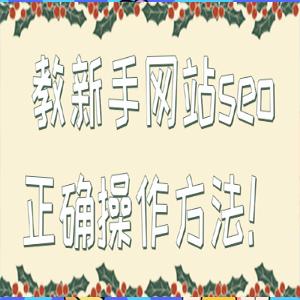 教新手网站seo正确操作方法