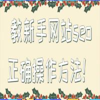 教新手网站seo正确操作方法