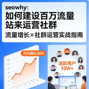 seowhy 如何建设百万流量站来运营社群