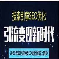 SEO搜索引擎优化总监实战VIP课堂【透析2020最新案例】