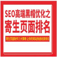 SEO高端黑帽优化之寄生页面排名，制作策略+快速收录排名（视频课）