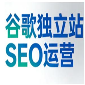 谷歌独立站SEO运营（更新2026）